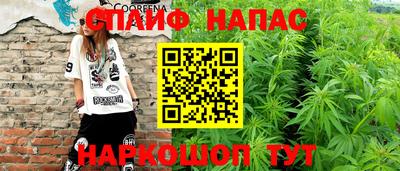 гашик Кизилюрт
