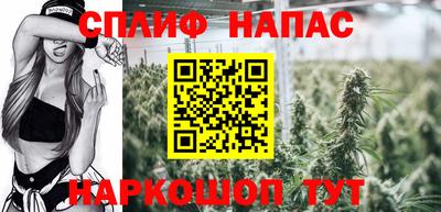 прущие грибы Каменск-Уральский