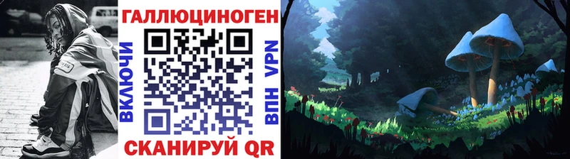 магазин  наркотиков  Дагестанские Огни  Галлюциногенные грибы мицелий 