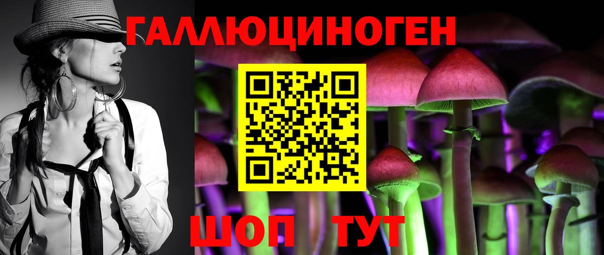 Дагестанские Огни  Псилоцибиновые грибы мицелий  Вход с VPN 